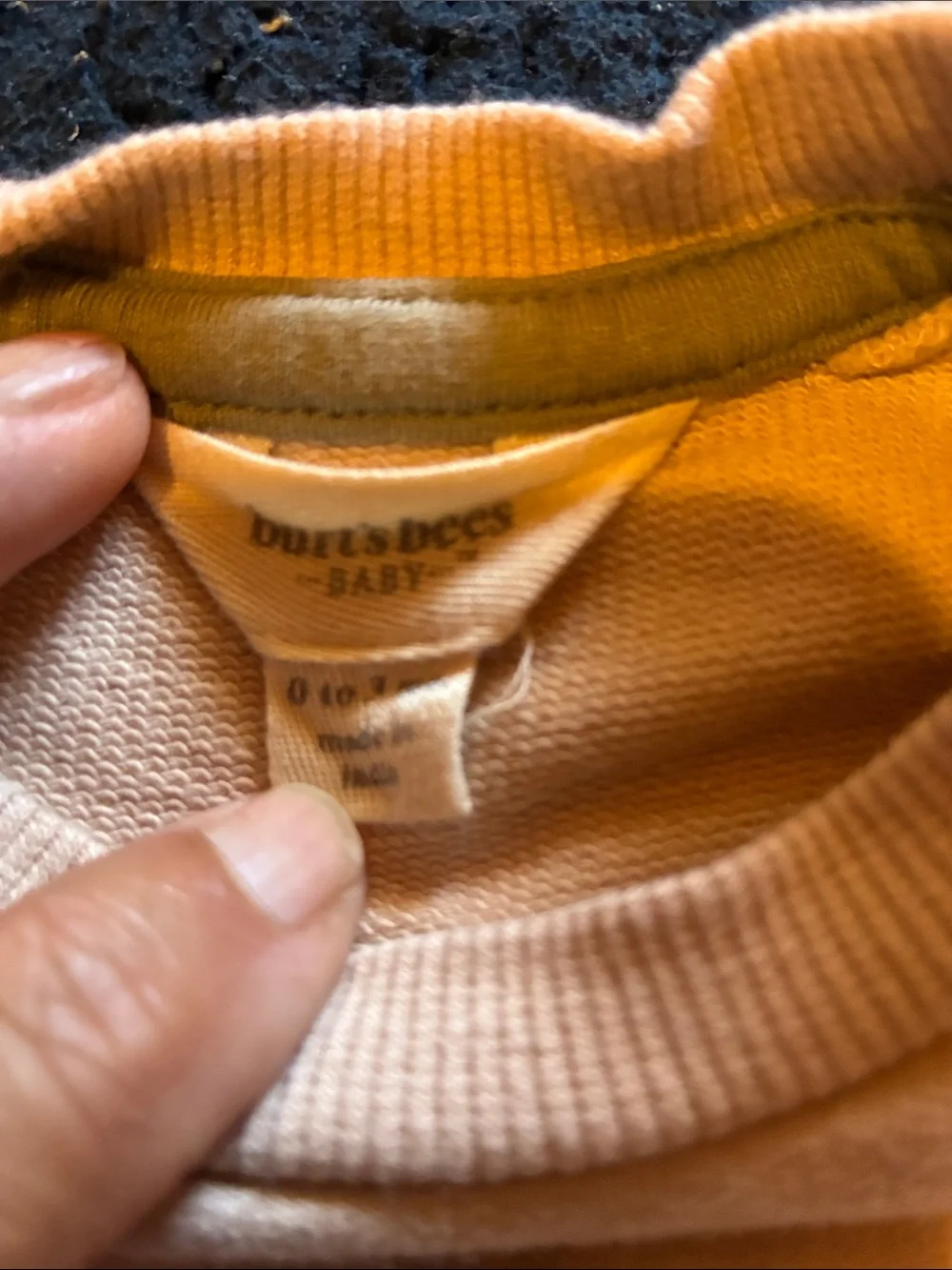 Burt's Bees Baby Light Beige Sweatshirt & Joggers Set